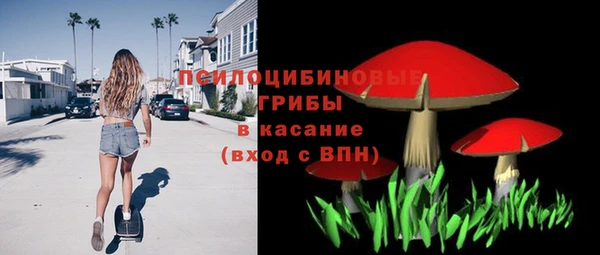 гидропоника Покачи