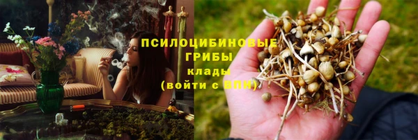 каннабис Баксан